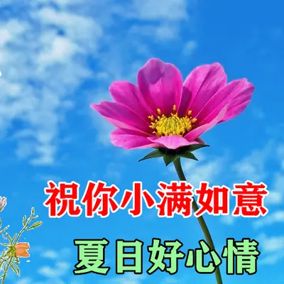 今日头条 今日头条