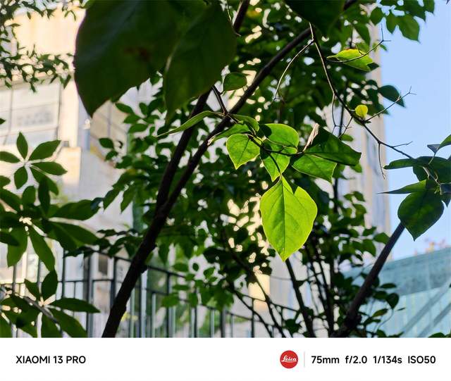 ȫ�����⿨��ͷ��ÿһ�� ����ζ��С��13 Pro����