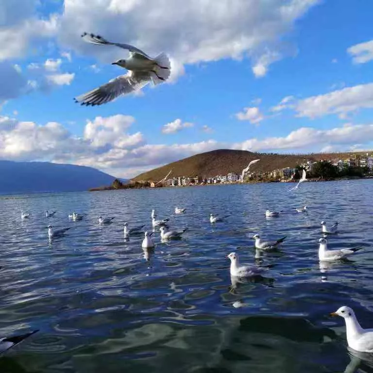 难做不赚钱的生意还要坚持吗