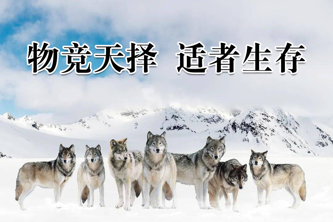 无学历无技术如何月入过万