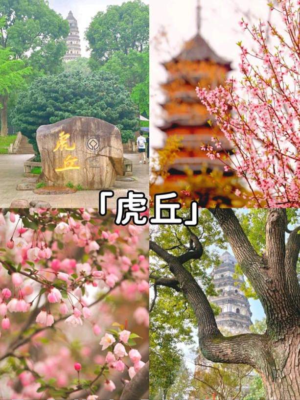 行程卡「摘星」后,老人行动不便,苏州可以租轮椅出游插图5 行程卡「摘星」后,老人行动不便,苏州可以租轮椅出游插图5