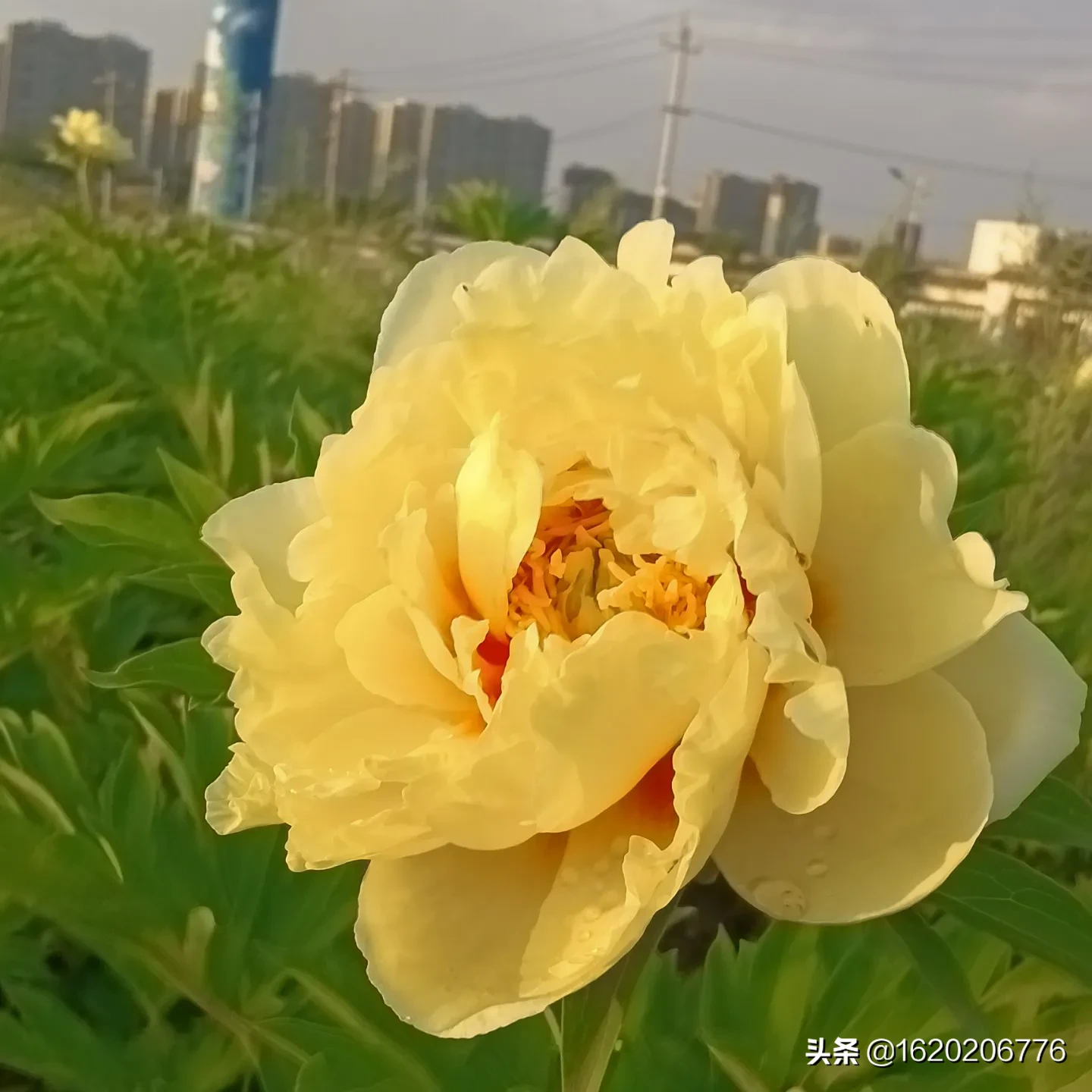 自己组装充电宝赚钱不