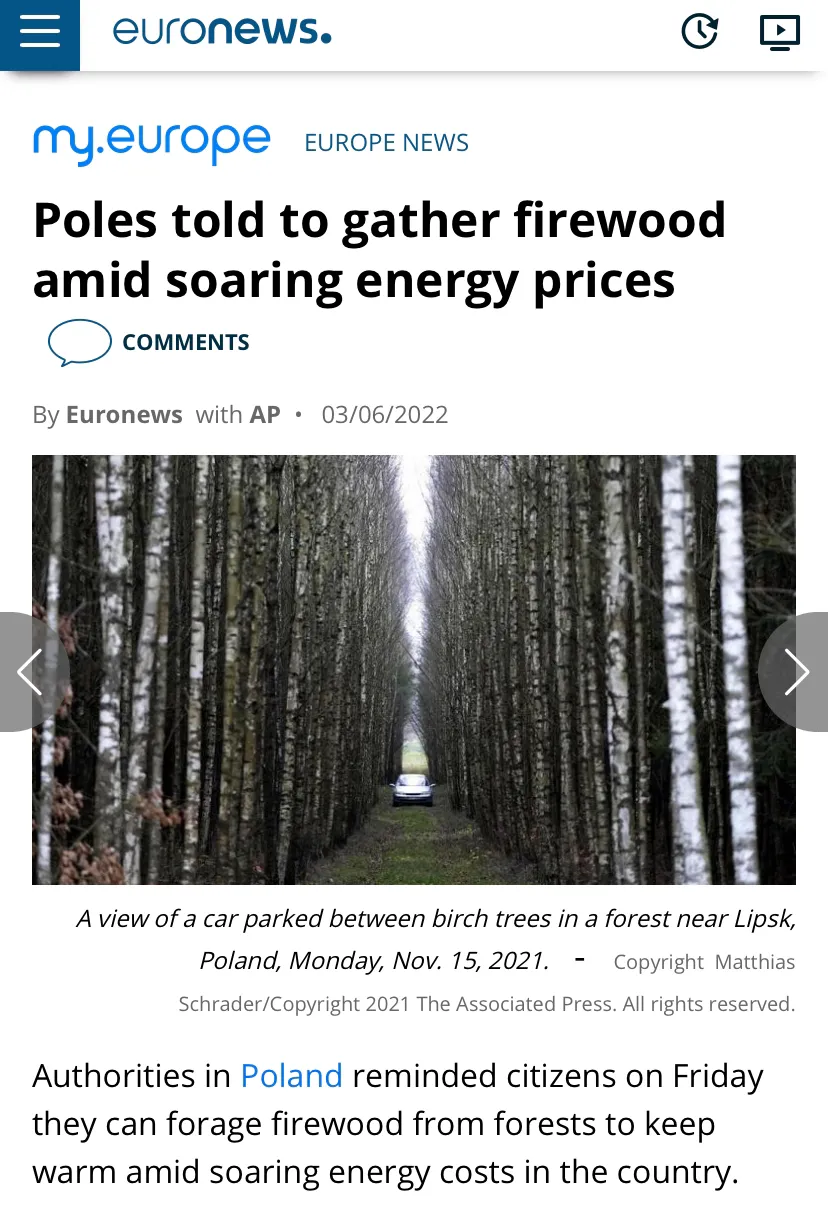 现在不砍树能赚钱吗 砍树卖树很赚钱吗