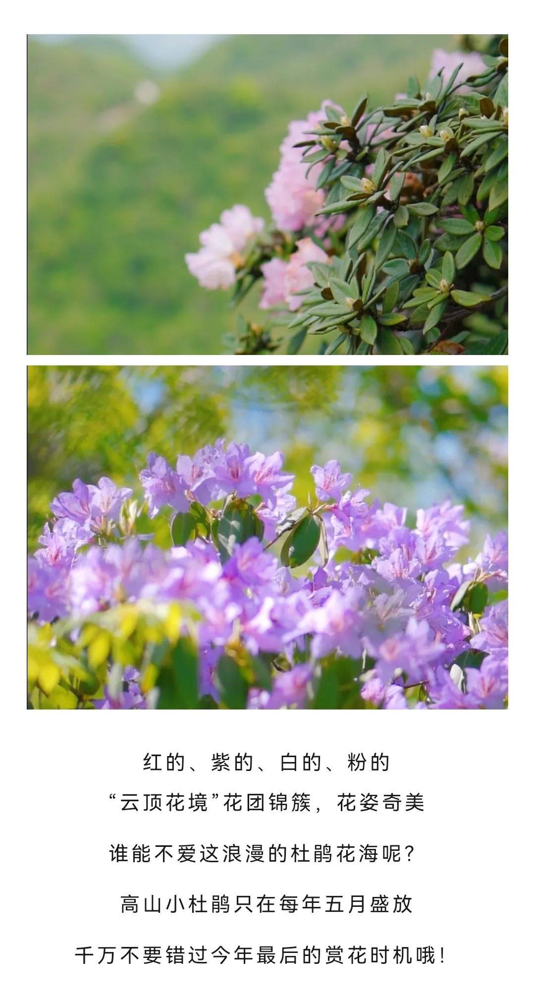 今日头条