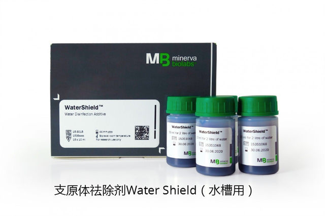 细胞培养的无菌环境有哪些？