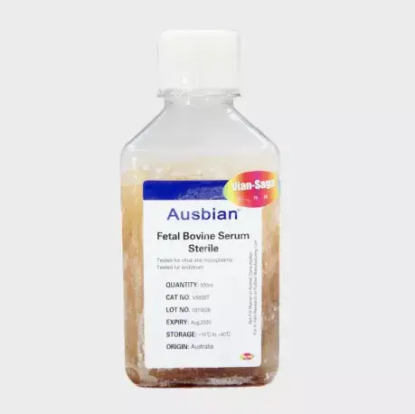 m6A甲基化在免疫系统中的新发现