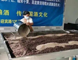 10元酒里的酒精是什么酿造的？