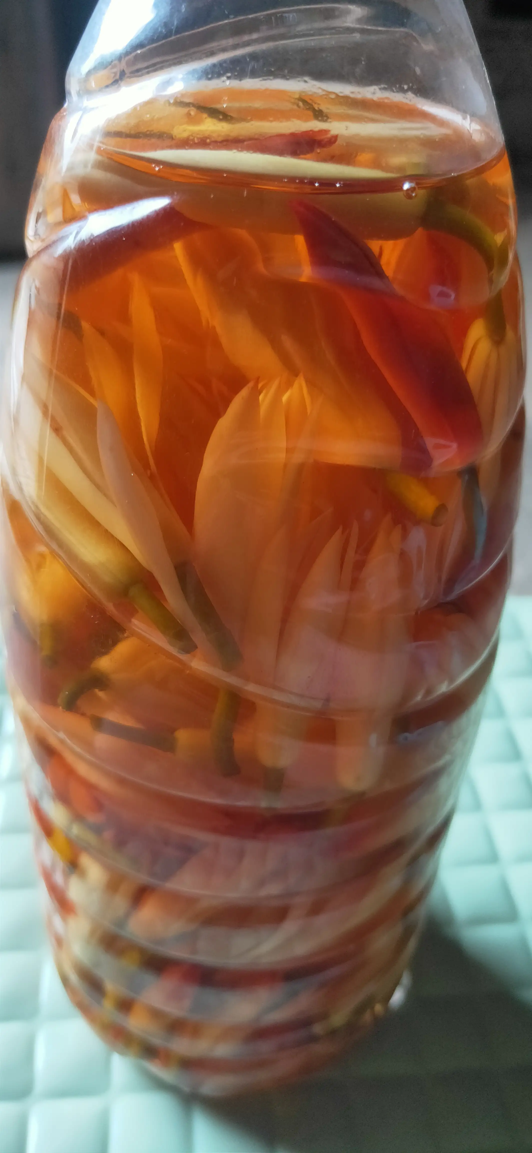 夏天蚊子太多了 总是喜欢咬宝宝皮肤 时常大包小包的 太痒了 前几天摘了很多白兰花用来泡白酒 现在花朵也开始变颜色了 再等