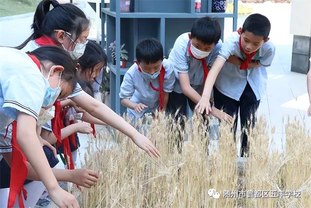 清廉学校建设 | 看曾都区这所学校如何做清廉学校建设,师德师风,立德树人,特色校园文化