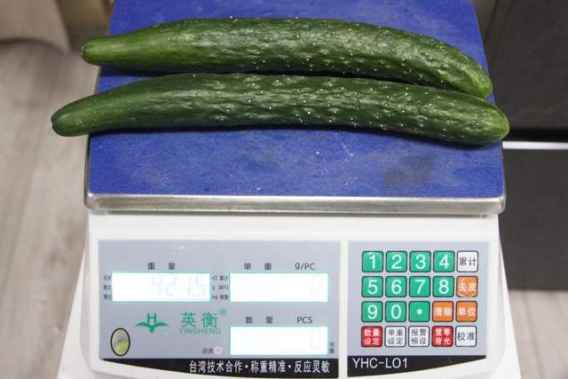 海信真空·超薄冰箱505评测出炉：真空锁鲜 软装必选