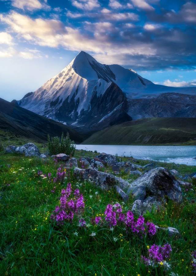 这是一个没有树的地方风景美到窒息