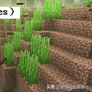 今日头条 今日头条