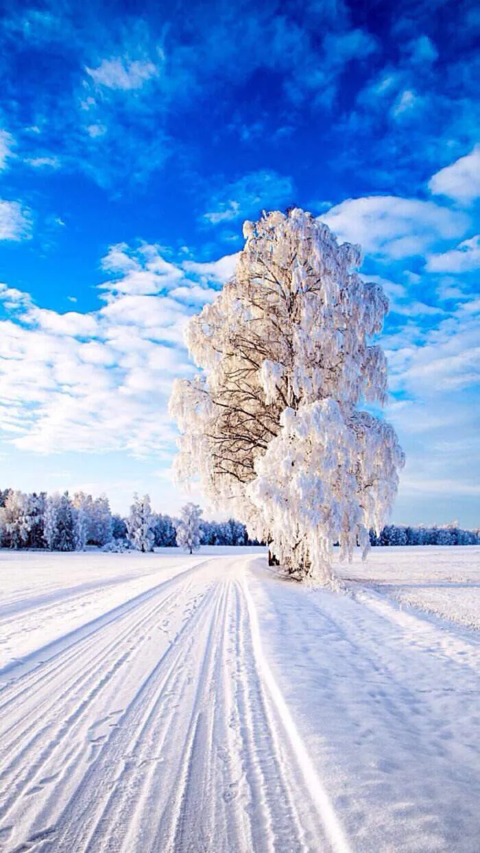 乍暖還寒時 去看看俄羅斯的雪景 俄羅斯毗鄰東北黑龍江 冬天特别寒冷 乍暖還寒時候 星空雪色仍迷人 陽光下的雪景