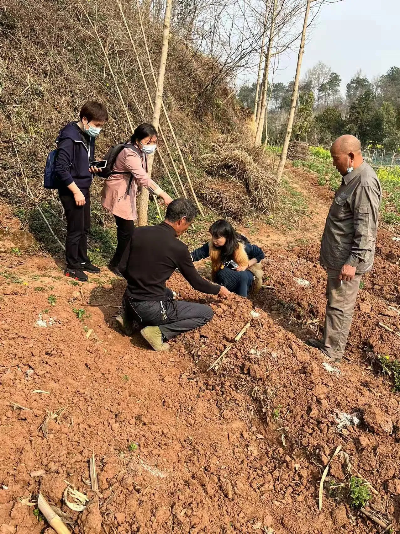 植树节，在心里种下一棵“绿树”