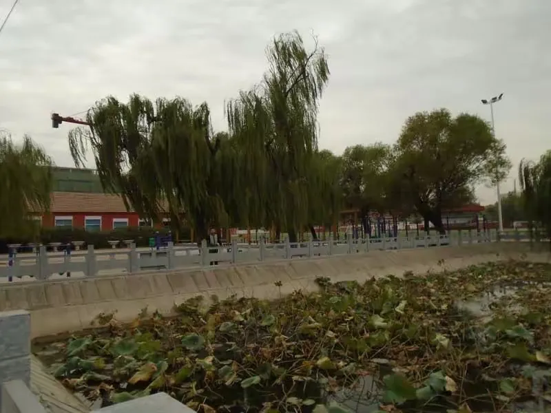 齐河情感心理咨询师培训机构 齐河心理咨询师培训机构