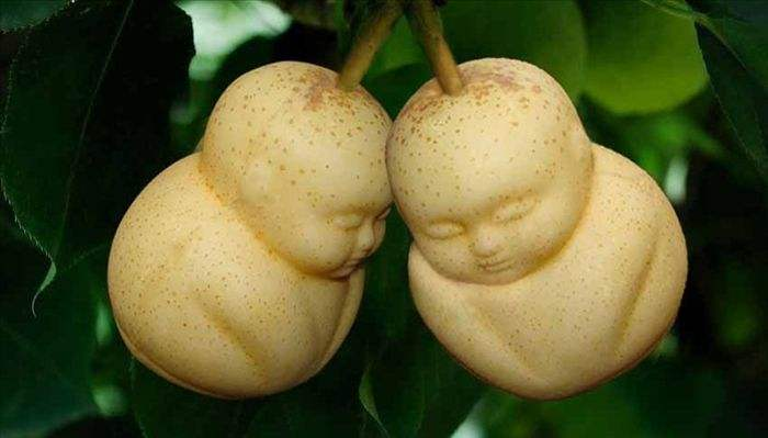 1982年杨洁拍西游记拍到偷吃人参果桥段时遇到了难题