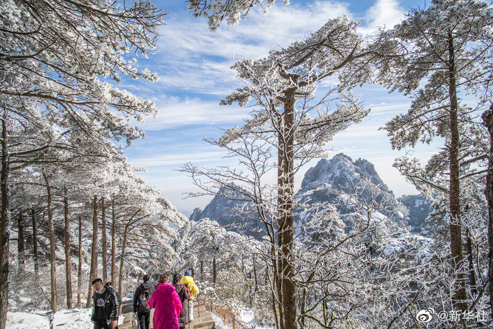 雪后的黄山美不胜收