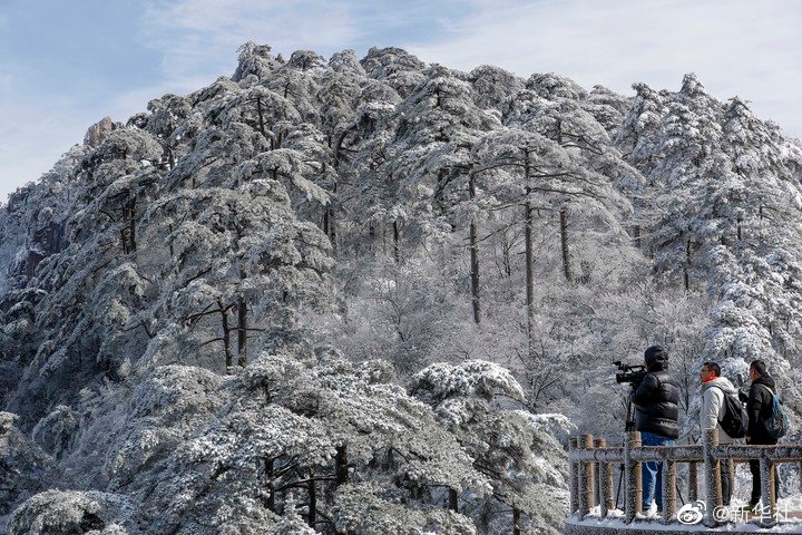 雪后的黄山美不胜收