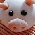猪猪侠骨柔情