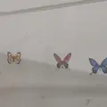 郑之灼见