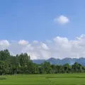 向山举目