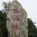 党党青青