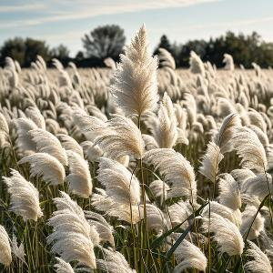 森林欢愉奔跑的兔 头像