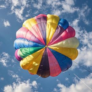 桥上快乐拍风景 头像