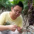 赛弟爱生活