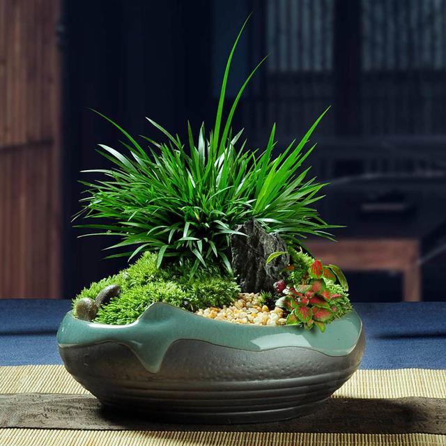 家里为什么不能养荷花，家里荷花挂在什么方位好（9种“名花”富贵吉利）