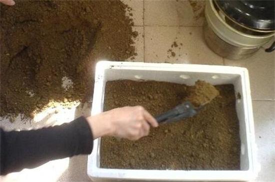 冬天吃什么菜好，冬天吃什么菜最好（下雪天冻不死）