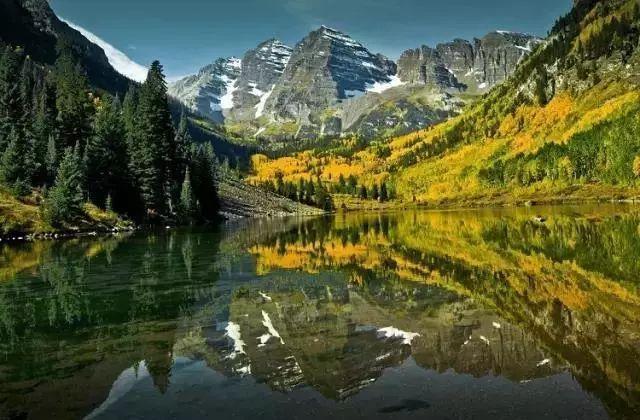 世界上最高的树，世界上最高的树排名（盘点世界最高的5棵巨树）