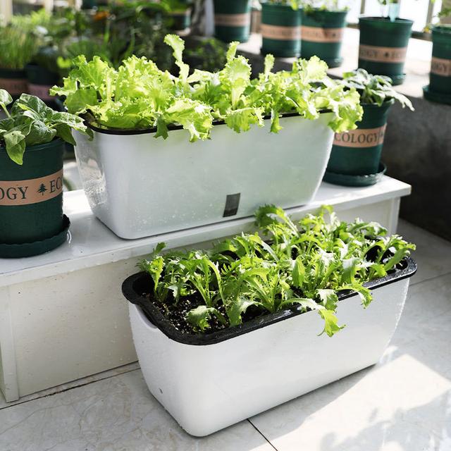 冬天吃什么菜好，冬天吃什么菜最好（下雪天冻不死）