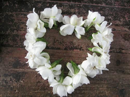 春天的花有哪些，二年级春天的花有哪些（“最香的”15种花）