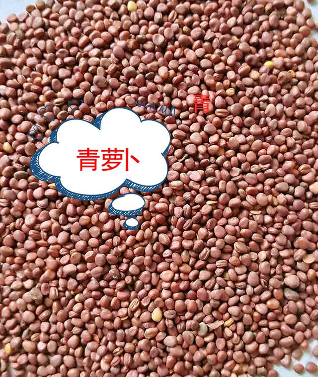 冬天吃什么菜好，冬天吃什么菜最好（下雪天冻不死）