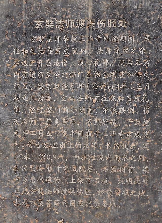 日本哪里最好玩，日本哪里有樱花（玄奘58岁回乡为父母迁坟）