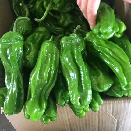 辛辣指的是什么，辛辣指的是什么食物（辣的和不辣的怎样区分）