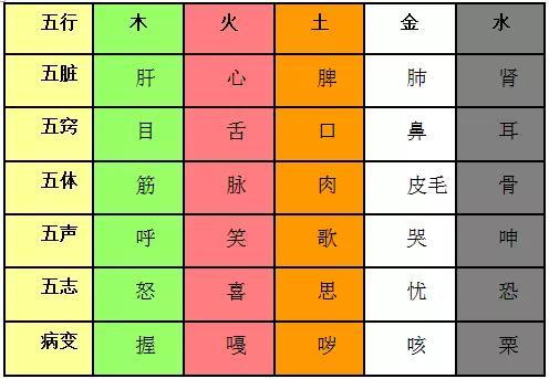 五行养生表格图图片