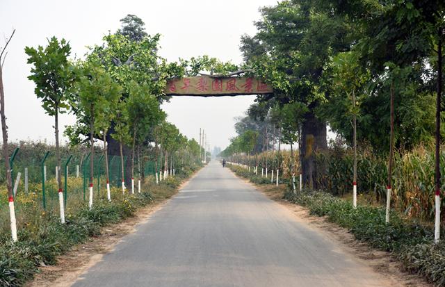 阜城县霞口镇刘老人村古风梨韵展新姿_河北旅游/玩耍攻略