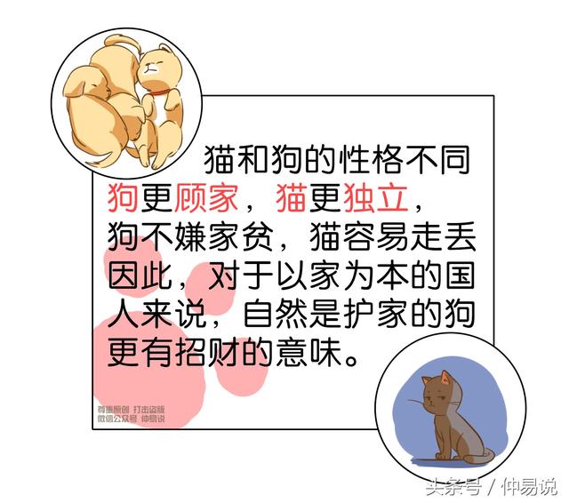 家里养宠物猫是吉还是凶高人讲解（家里养宠物哪一种会旺财）(7)