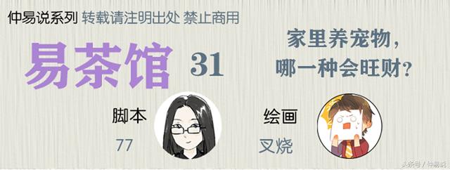 家里养宠物猫是吉还是凶高人讲解（家里养宠物哪一种会旺财）(1)
