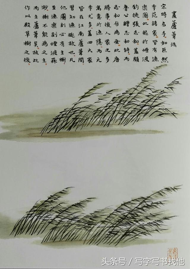 怎么画杏树