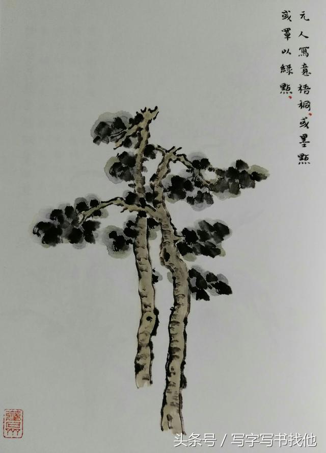 怎么画杏树