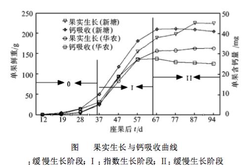 如何施用钙肥比较靠谱呢？我建议你从以下5个角度去思考5