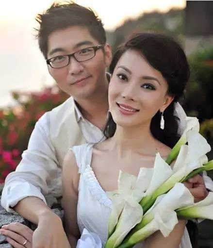 陈数与鹿晗什么关系(陈数与鹿晗是什么关系)-天晟网