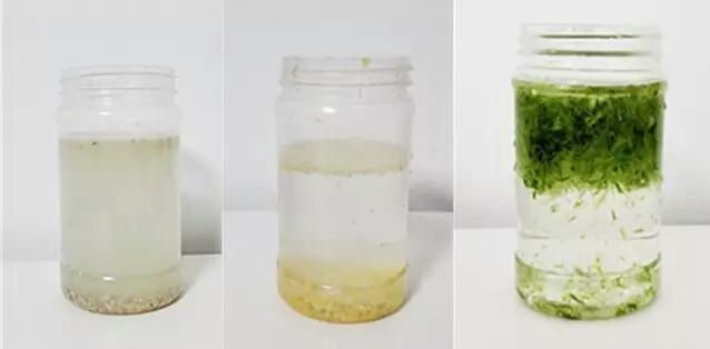 破碎机用磨盘还是锤片