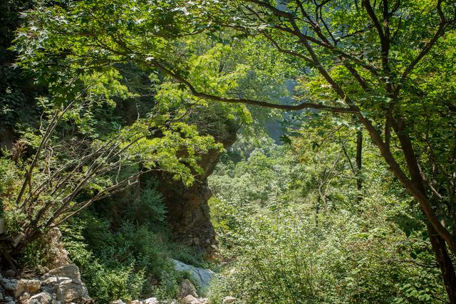 白石山最佳旅游时间（离北京最近的文艺小资旅行目的地）(10)