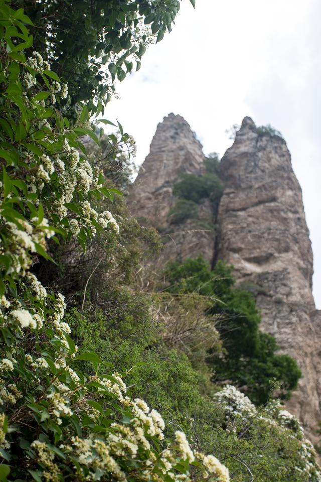 白石山最佳旅游时间（离北京最近的文艺小资旅行目的地）(13)