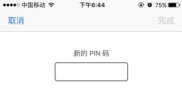 pin是什么