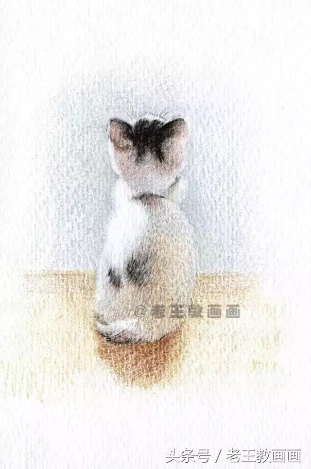 画小猫